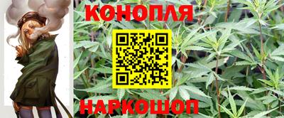 сатива Канаш