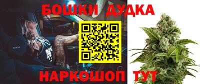 сатива Канаш